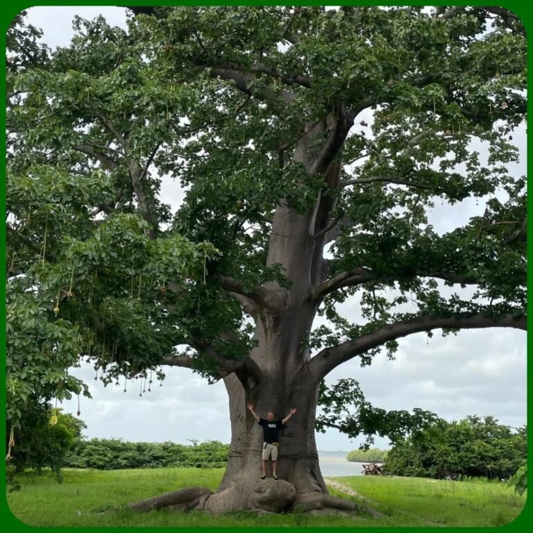 Découverte de la Casamance