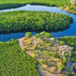 Excursion Brousse & Îles du Saloum
