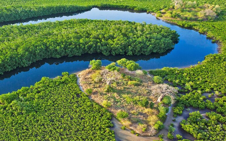 Excursion Brousse & Îles du Saloum