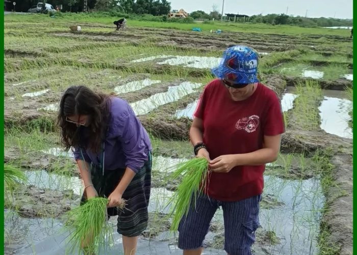 WhatsApp Image 2025-01-16 à 00.37.34_422dccb1