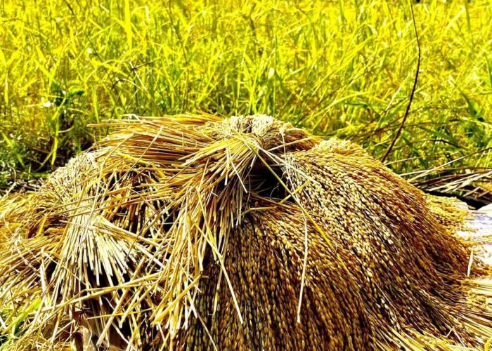 WhatsApp Image 2025-01-16 à 00.37.34_d0ced5ed